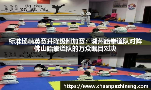 标准场精英赛升降级附加赛：湖州跆拳道队对阵佛山跆拳道队的万众瞩目对决